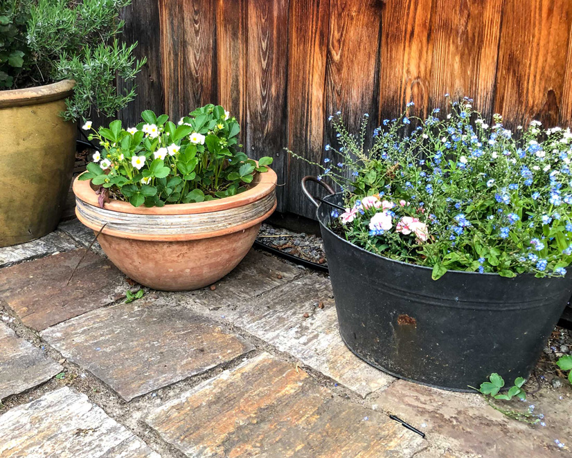 Image of flowers on a terrace