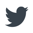 twitter icon